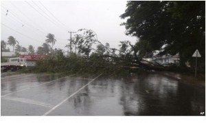 A tree blocks a road after it was blown down by cyclone Winston in  Nakasi, Fiji on Saturday.