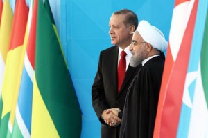 975883_1_turkey_standard