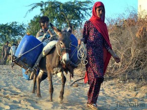 drought-hit-tharparkar-1452896963-9460