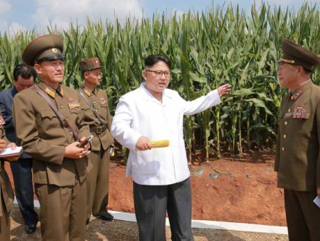 Close US-China gap to rein in Pyongyang