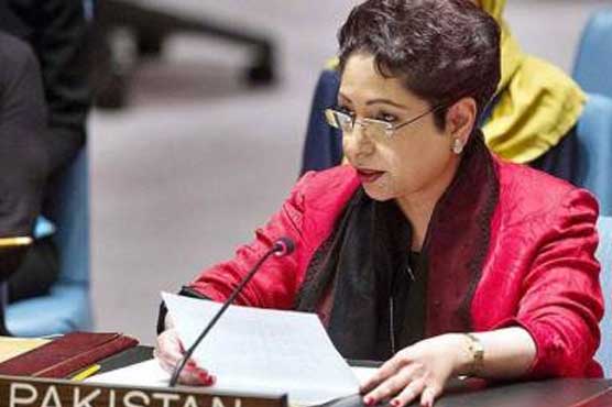 UN efforts insufficient to ease Israel-Palestinian  tension: Maleeha Lodhi