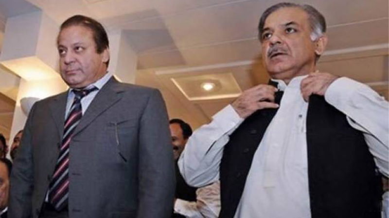 Nawaz  and Shahbaz’s eligibility challenged in LHC
