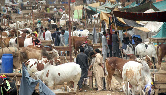 Govt announces four holidays for Eidul Azha