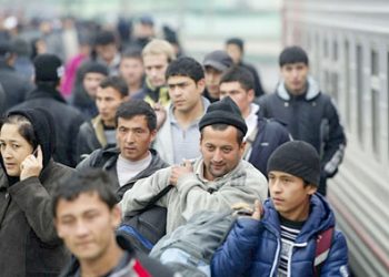 Russia’s Ministry of Agriculture intends to attract 1,108 workers from Uzbekistan