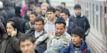 Russia’s Ministry of Agriculture intends to attract 1,108 workers from Uzbekistan