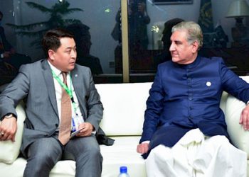Kyrgyz deputy FM meets with foreign minister of Pakistan