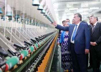 Economic growth reaches more than 9 % in Tajikistan