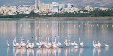 China-Cyprus relations to set sail on a new journey