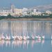 China-Cyprus relations to set sail on a new journey