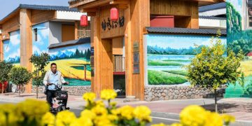 China sets priorities for 2022 rural development