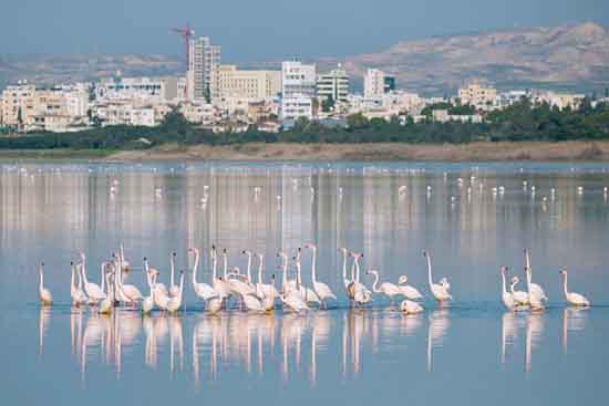 China-Cyprus relations to set sail on a new journey
