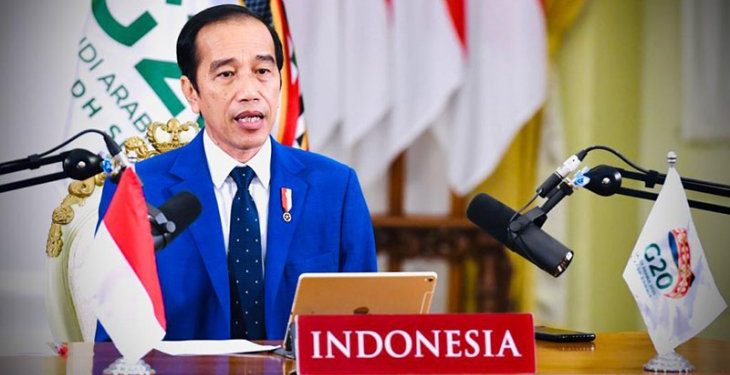 Indonesia and Presidency of G20: The Way Forward