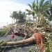 Eight killed in Iraqi Kurdistan floods