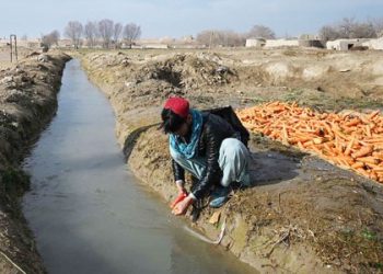 South Korea marks deadliest day of pandemic as omicron looms