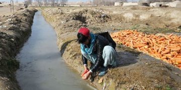 South Korea marks deadliest day of pandemic as omicron looms