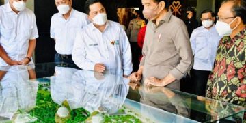 Australia: Omicron death, false negative COVID results