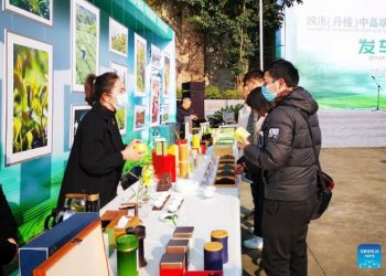 COVID-19 variant ‘tsunami’ as world cases break record