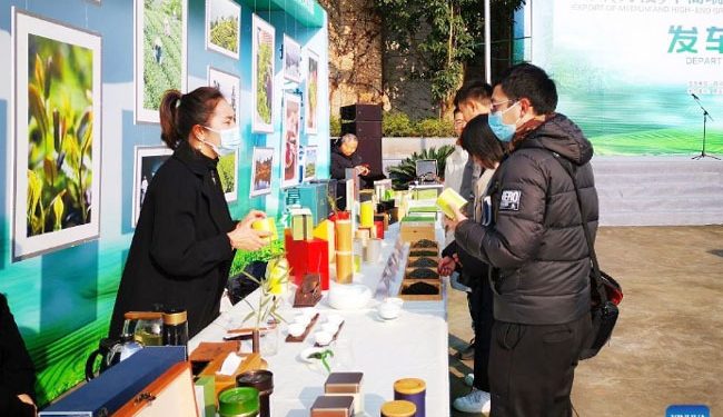 COVID-19 variant ‘tsunami’ as world cases break record