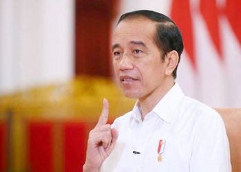 Jokowi lauds  SOE Minister for Merah Putih Fund