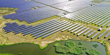 China fulfills green goals in 2021: official