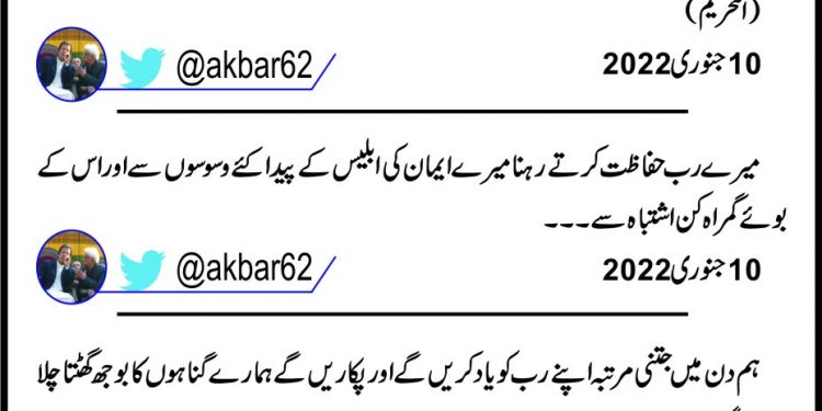 Iran-Pakistan enjoy close brotherly relationship: Mohammad Ali Hosseini