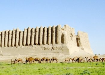 Indonesians urged to follow booster-related regulations, mechanisms