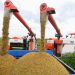 China helps boost global food security