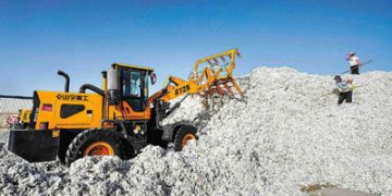 Xinjiang sees 7% rise in GDP despite obstacles