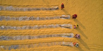 Global food  price surge not China’s fault