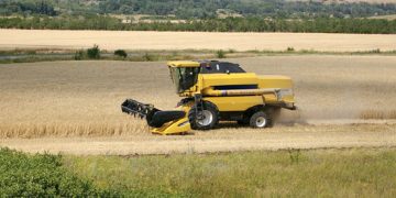 Russia-Ukraine war could cause hunger in Mideast