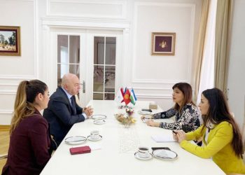 Turkic Culture and Heritage Foundation expands int’l ties