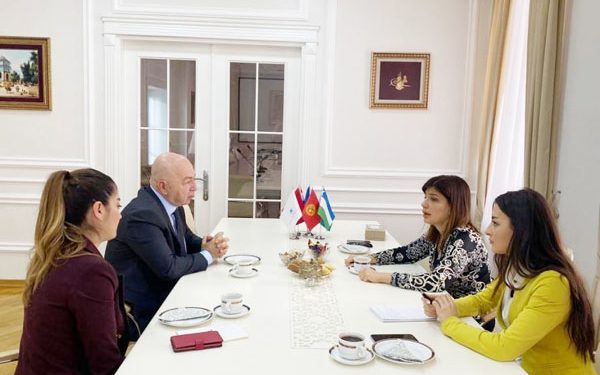 Turkic Culture and Heritage Foundation expands int’l ties