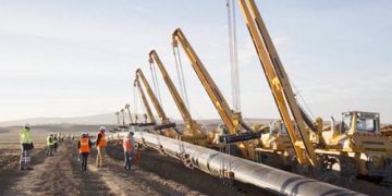 Nationwide event “Green Year” announced in Uzbekistan