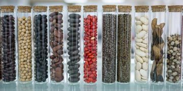 Sowing for future: Xi leads China’s seed industry vitalization