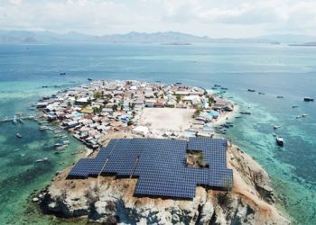 Green economy for job creation