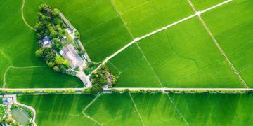 China to boost green shift in cities and villages: Ministry