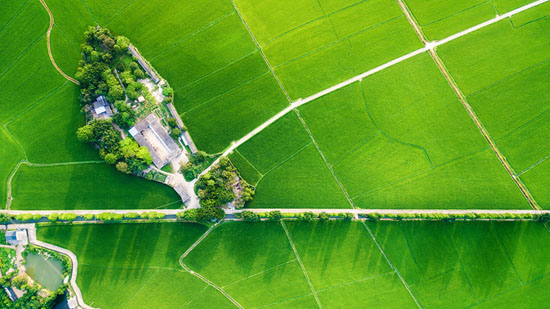 China to boost green shift in cities and villages: Ministry