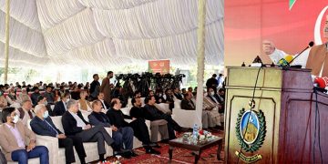 Now free liver transplant has been included in the Sehat Card Plus Scheme: Mahmood Khan