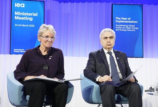 Skilled human resources can help Earth prosper: VP Ma’ruf Amin