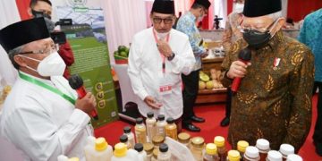 Skilled human resources can  help Earth prosper: VP Ma’ruf Amin