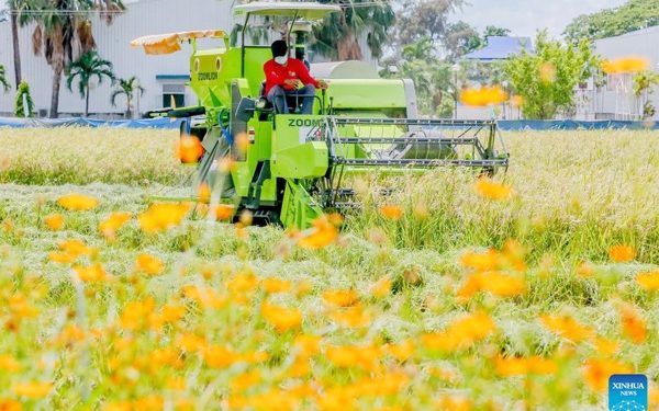 Biden says Putin  ‘cannot remain in power’ in  fiery speech on Ukraine war