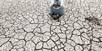 Year for drought action for the MENA region