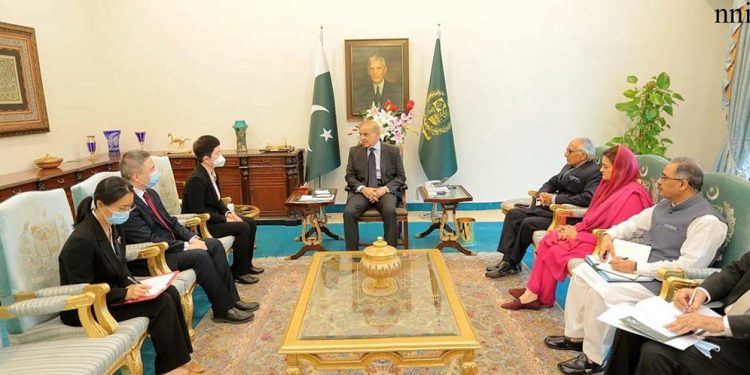 Strict action should be taken against Army’s characterization: Shehbaz Sharif