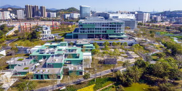 Why China will stick to decarbonization and sustainable development?