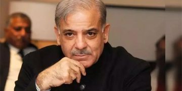 Shehbaz Sharif’s balancing act on subsidies and bailouts