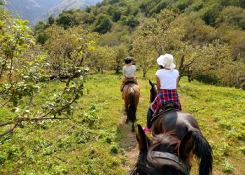 Almaty – Father of Apples