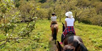 Almaty – Father of Apples