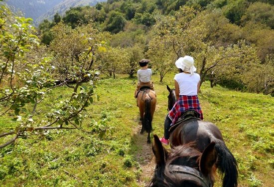 Almaty – Father of Apples