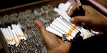 Tobacco kills millions of people, destroys millions of hectares annually: WHO