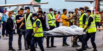 Tobacco kills millions of people, destroys millions of hectares annually: WHO